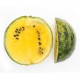 ‘Early Moonbeam’ watermeloen