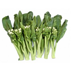 Kailaan broccoli 