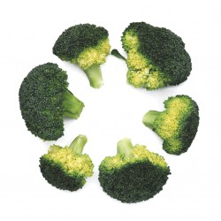  broccoli 'De Cicco'