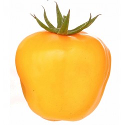 Yellow stuffing paprika-tomaat 
